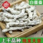 产地**批发中药材散装无硫 白僵蚕 炒僵蚕 僵虫**从优